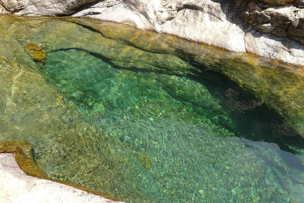 Le Capu Biancu-Location Avec Vue Proche Des Gorges De L Asco Entre Mer Et Montagne Moltifao Eksteriør bilde