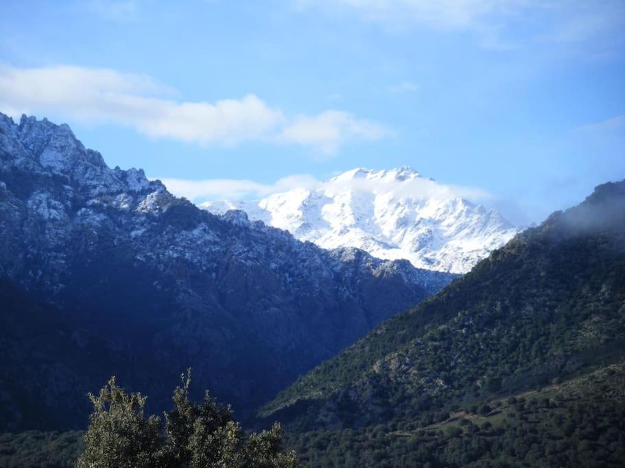 Le Capu Biancu-Location Avec Vue Proche Des Gorges De L Asco Entre Mer Et Montagne Moltifao Eksteriør bilde